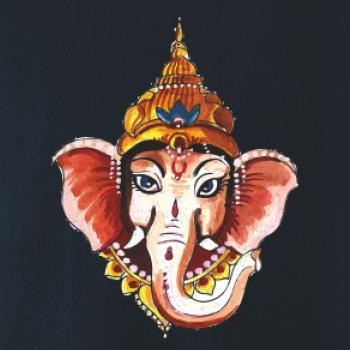 Slon Indie - Volné triko city